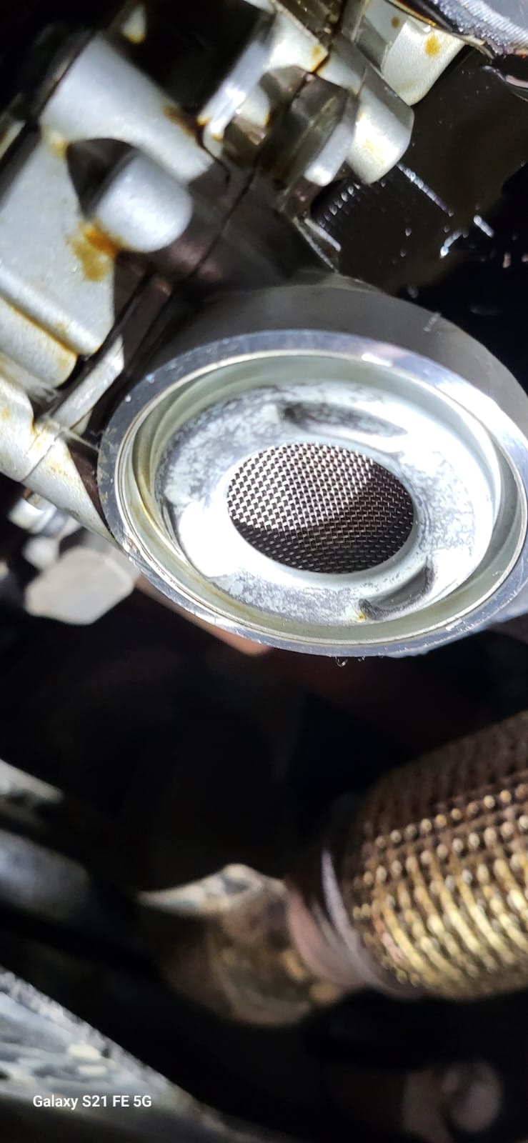 ford ecoboost 1.0 schone carterpanzeef