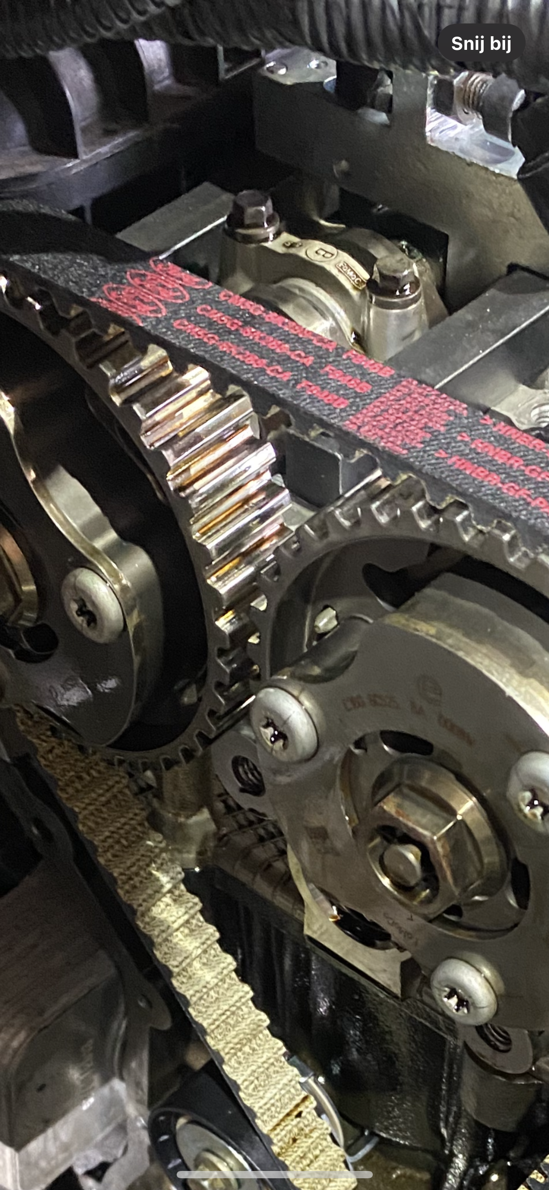 ford ecoboost 1.0 distributieriem